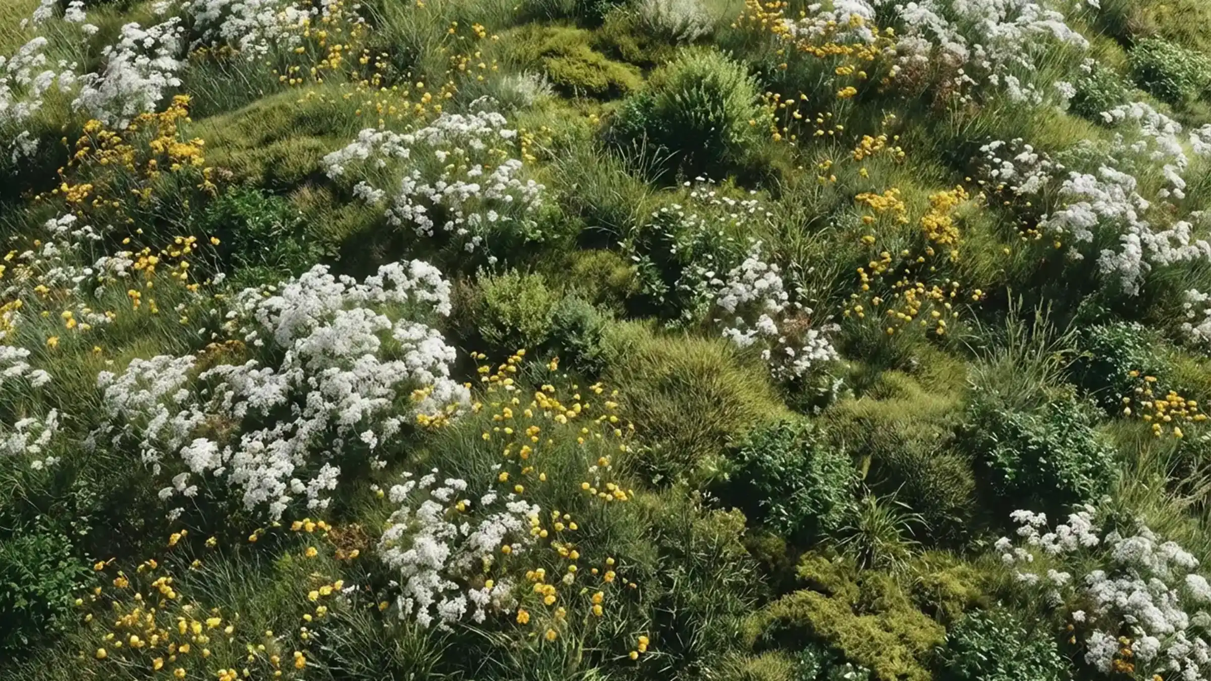 Run workflows with real-time context