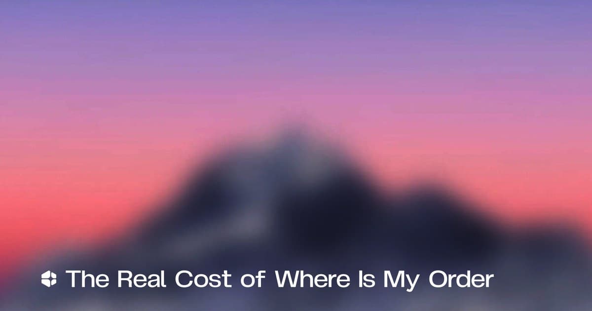 The Real Cost of Where Is My Order